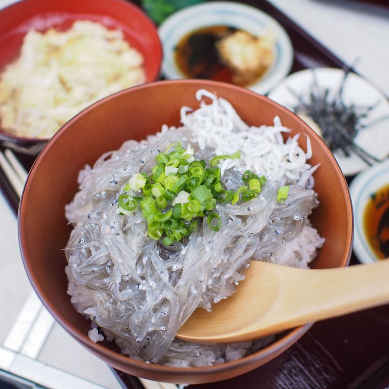 Fresh Whitebait Shirasu 新鮮日本吻仔魚